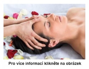Reflexní M Ing. Lubomír Měch